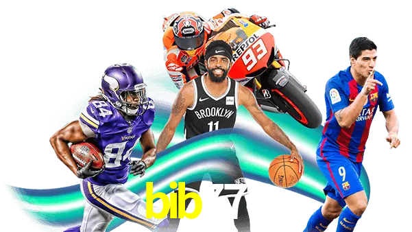bib777